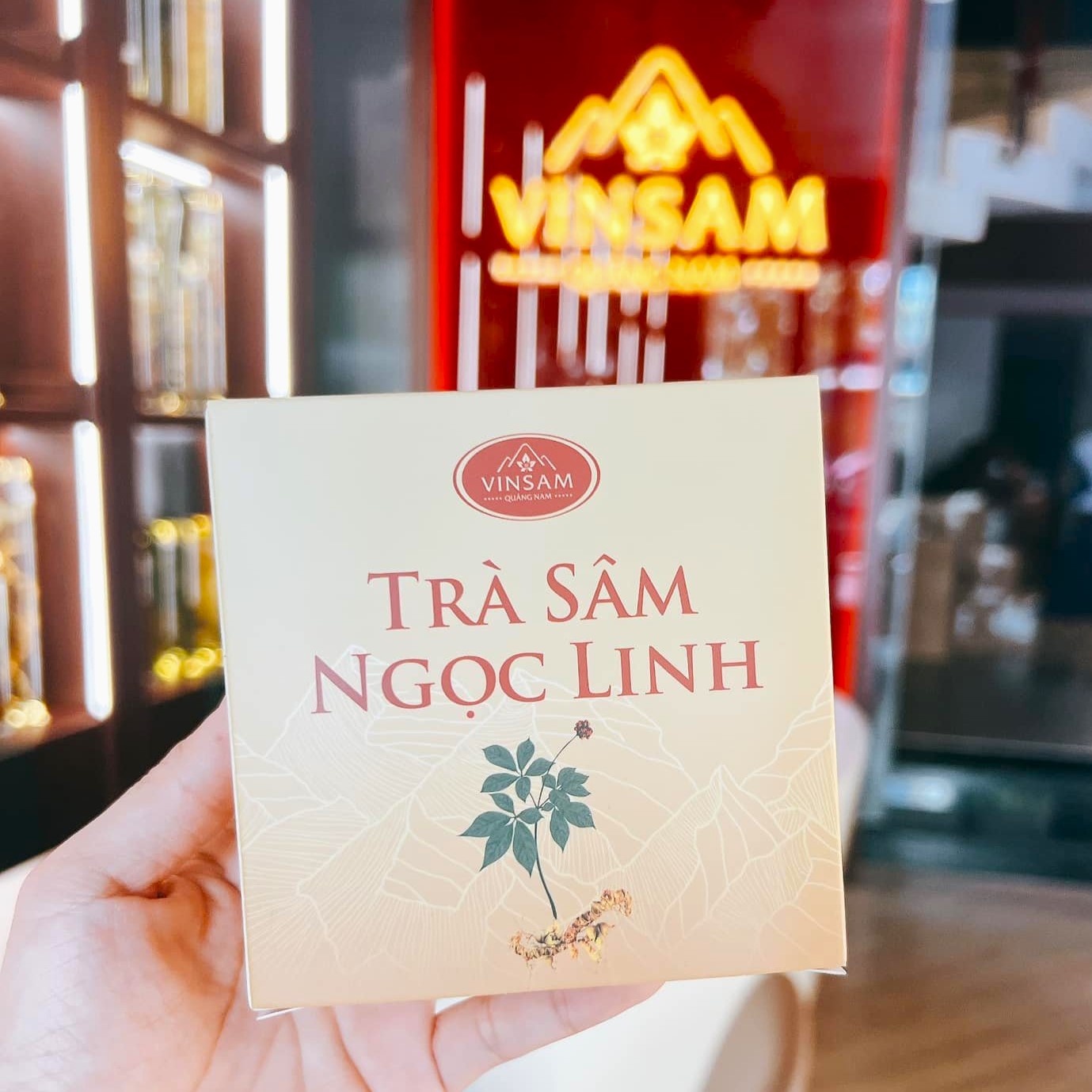 415498172_2877232032419203_2520254410886914280_n