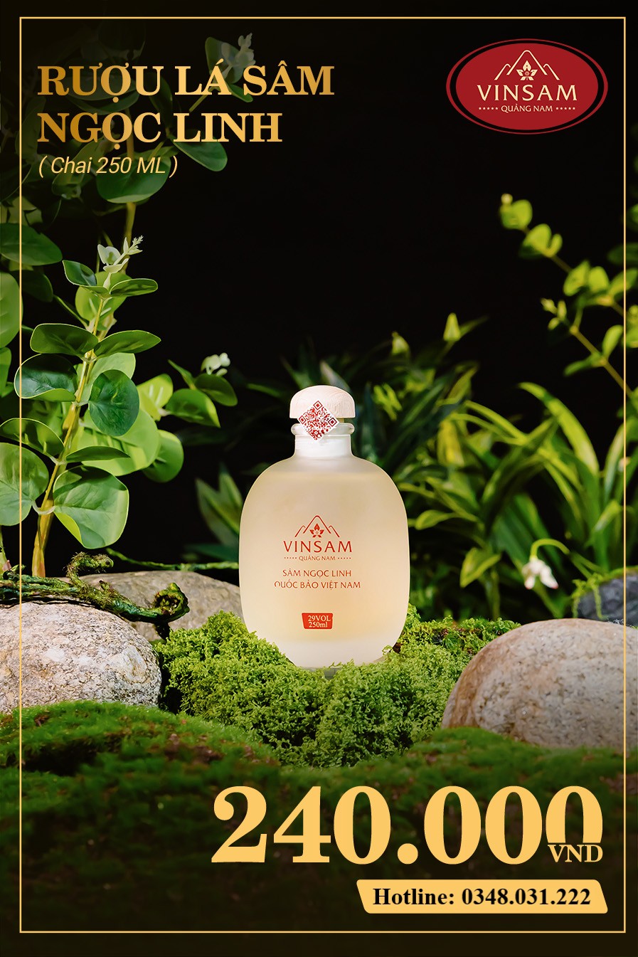 469360676_122122167872565397_3490272476261385241_n