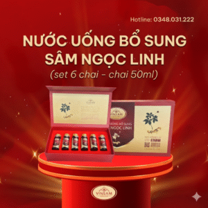 Nước Uống Bổ Sung Sâm Ngọc Linh ( set 6 chai )
